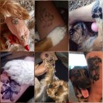 kutyus tetoválások, dogs tattoos
