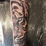 tigris tetoválás alkar 1, tiger fore arm tattoo 1